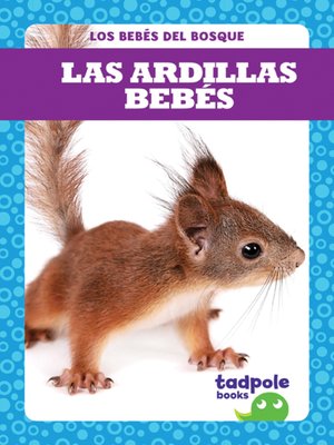 cover image of Las ardillas bebés (Squirrel Kits)